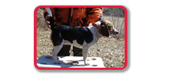 Slicker's Hit the Gap Gizmo