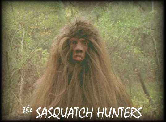 Goofy Looking Sasquatch